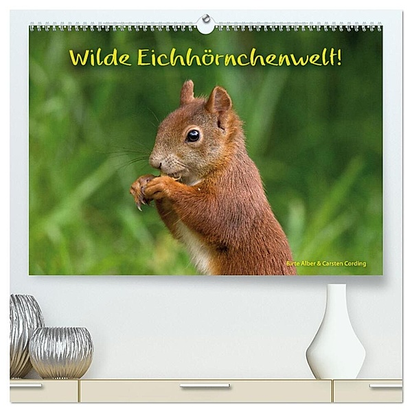 Wilde Eichhörnchenwelt! (hochwertiger Premium Wandkalender 2024 DIN A2 quer), Kunstdruck in Hochglanz, Birte Alber und Carsten Cording