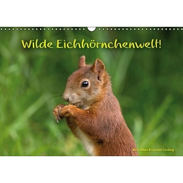 Wilde Eichhörnchenwelt! (Wandkalender 2016 DIN A3 quer), Birte Alber und Carsten Cording