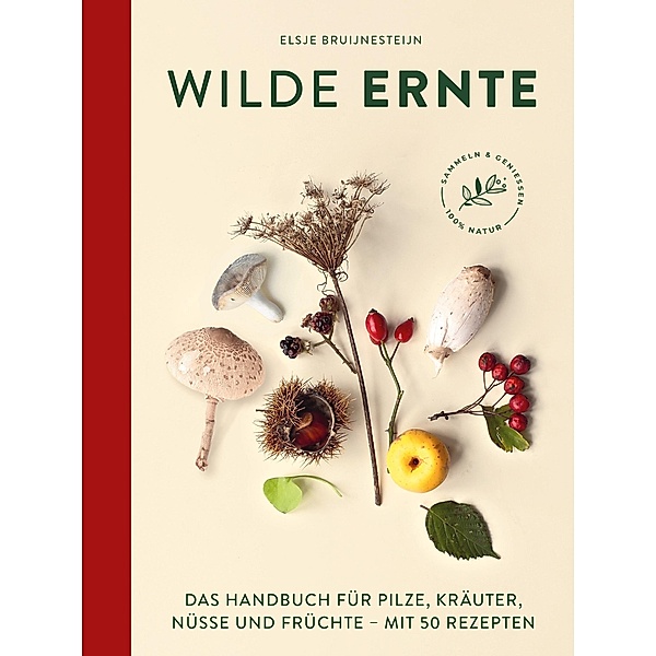 Wilde Ernte, Elsje Bruijnesteijn