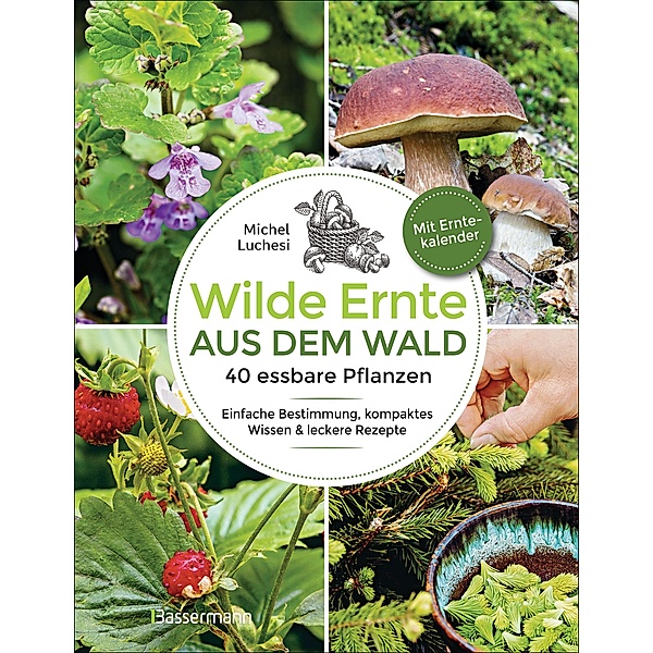 Wilde Ernte aus dem Wald - 40 essbare Pflanzen - einfache Bestimmung, kompaktes Wissen und leckere Rezepte, Michel Luchesi