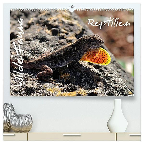 Wilde Fauna - Reptilien (hochwertiger Premium Wandkalender 2024 DIN A2 quer), Kunstdruck in Hochglanz, Uwe Bade / Ralf Emmerich