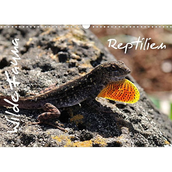 Wilde Fauna - Reptilien (Wandkalender 2022 DIN A3 quer), Uwe Bade / Ralf Emmerich