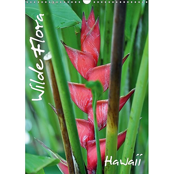 Wilde Flora - Hawaii (Wandkalender 2021 DIN A3 hoch), Uwe Bade