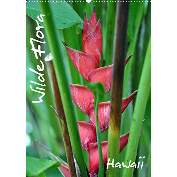 Wilde Flora - Hawaii (Wandkalender 2022 DIN A2 hoch), Uwe Bade