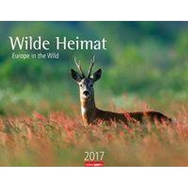 Wilde Heimat 2017