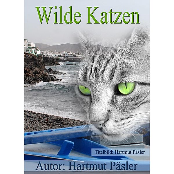 Wilde Katzen, Hartmut Päsler