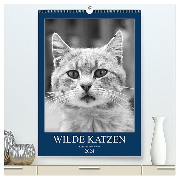 Wilde Katzen - Korsikas Samtpfoten (hochwertiger Premium Wandkalender 2024 DIN A2 hoch), Kunstdruck in Hochglanz, Claudia Schimmack