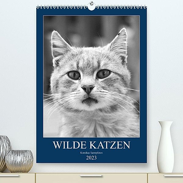 Wilde Katzen - Korsikas Samtpfoten (Premium, hochwertiger DIN A2 Wandkalender 2023, Kunstdruck in Hochglanz), Claudia Schimmack