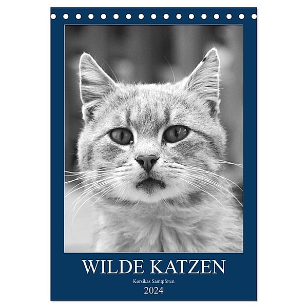 Wilde Katzen - Korsikas Samtpfoten (Tischkalender 2024 DIN A5 hoch), CALVENDO Monatskalender, Claudia Schimmack