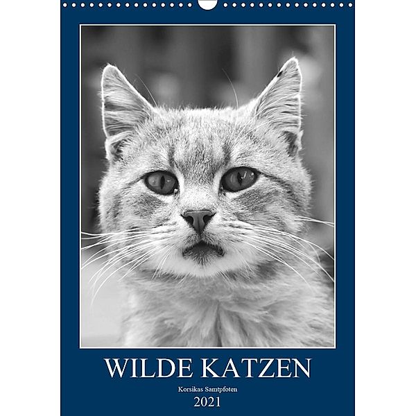 Wilde Katzen - Korsikas Samtpfoten (Wandkalender 2021 DIN A3 hoch), Claudia Schimmack