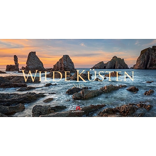 Wilde Küsten 2019