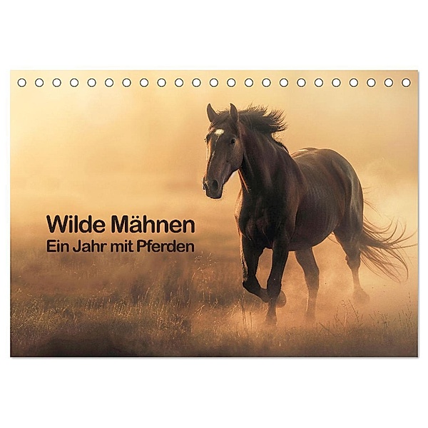 Wilde Mähnen: Ein Jahr mit Pferden (Tischkalender 2025 DIN A5 quer), CALVENDO Monatskalender, Calvendo, Peter R. Stuhlmann