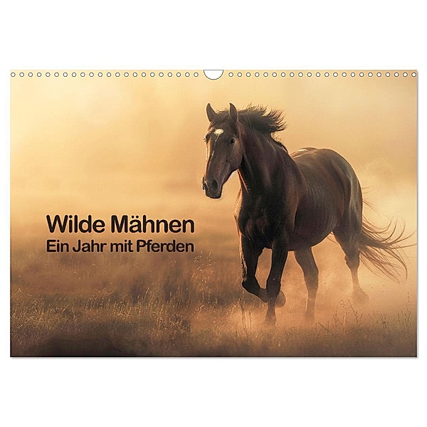 Wilde Mähnen: Ein Jahr mit Pferden (Wandkalender 2025 DIN A3 quer), CALVENDO Monatskalender, Calvendo, Peter R. Stuhlmann