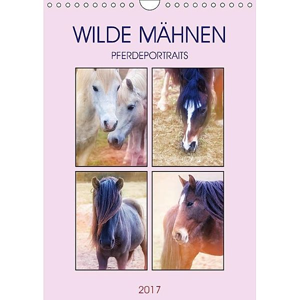 Wilde Mähnen (Wandkalender 2017 DIN A4 hoch), Liselotte Brunner-Klaus
