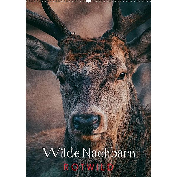 Wilde Nachbarn: Rotwild (Wandkalender 2023 DIN A2 hoch), Chris Payne