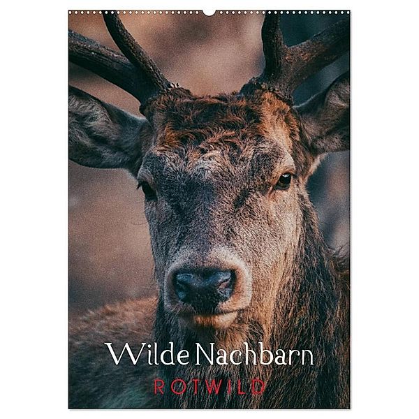 Wilde Nachbarn: Rotwild (Wandkalender 2024 DIN A2 hoch), CALVENDO Monatskalender, Chris Payne