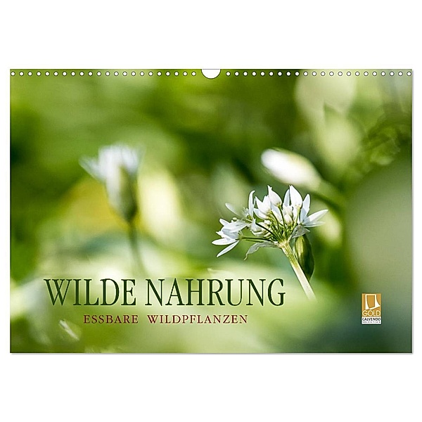 WILDE NAHRUNG (Wandkalender 2024 DIN A3 quer), CALVENDO Monatskalender, Markus Wuchenauer - Pixelrohkost