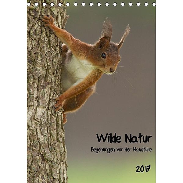 Wilde Natur - Begegnungen vor der Haustüre (Tischkalender 2017 DIN A5 hoch), Daniel Segelcke Uwe Hilsmann