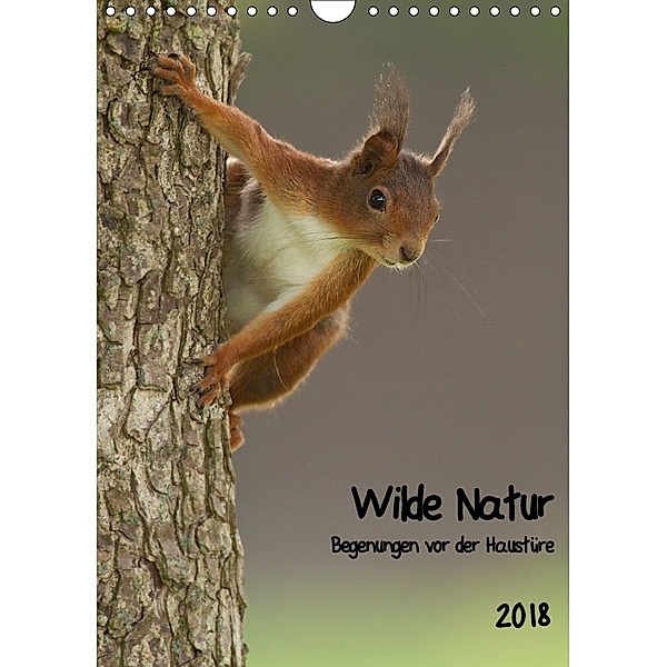 Wilde Natur - Begegnungen vor der Haustüre (Wandkalender 2018 DIN A4 hoch), Daniel Segelcke Uwe Hilsmann