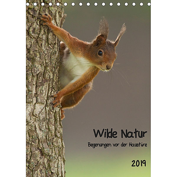 Wilde Natur - Begegnungen vor der Haustüre (Tischkalender 2019 DIN A5 hoch), Daniel Segelcke Uwe Hilsmann