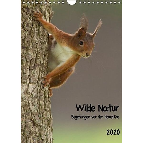 Wilde Natur - Begegnungen vor der Haustüre (Wandkalender 2020 DIN A4 hoch), Daniel Segelcke Uwe Hilsmann