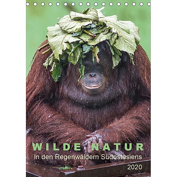 Wilde Natur - In den Regenwäldern Südostasiens (Tischkalender 2020 DIN A5 hoch), Oliver Gärtner