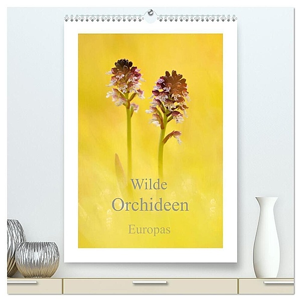 Wilde Orchideen Europas (hochwertiger Premium Wandkalender 2024 DIN A2 hoch), Kunstdruck in Hochglanz, Marion Kraschl