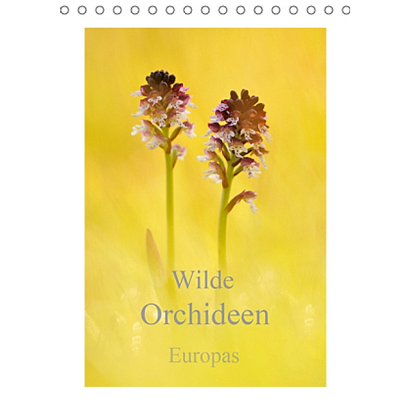Wilde Orchideen Europas (Tischkalender 2020 DIN A5 hoch), Marion Kraschl