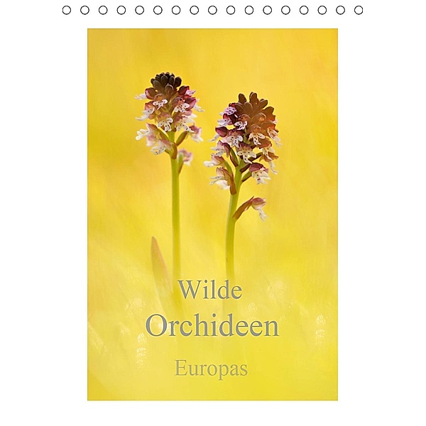 Wilde Orchideen Europas (Tischkalender 2021 DIN A5 hoch), Marion Kraschl