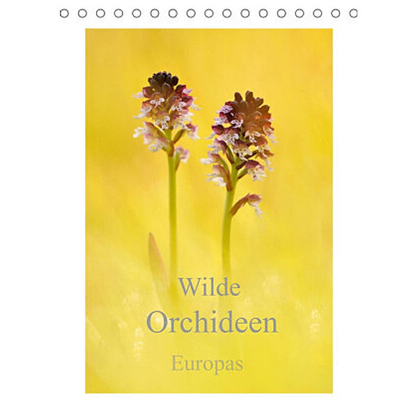 Wilde Orchideen Europas (Tischkalender 2022 DIN A5 hoch), Marion Kraschl