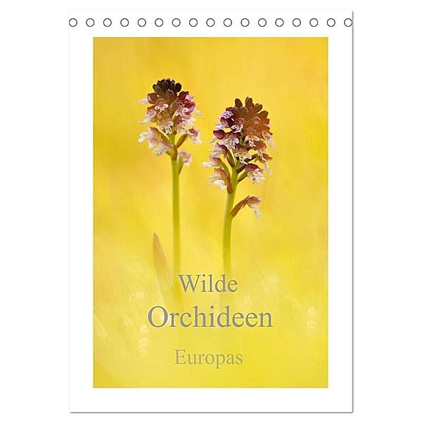 Wilde Orchideen Europas (Tischkalender 2024 DIN A5 hoch), CALVENDO Monatskalender, Marion Kraschl