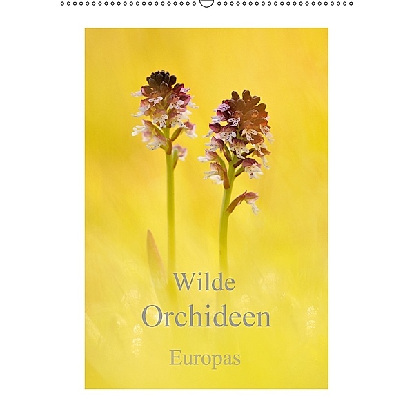 Wilde Orchideen Europas (Wandkalender 2018 DIN A2 hoch) Dieser erfolgreiche Kalender wurde dieses Jahr mit gleichen Bild, Marion Kraschl