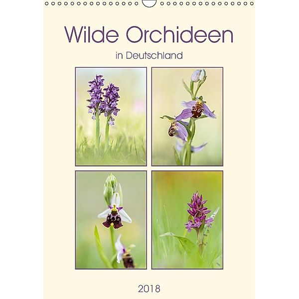 Wilde Orchideen in Deutschland 2018 (Wandkalender 2018 DIN A3 hoch) Dieser erfolgreiche Kalender wurde dieses Jahr mit g, Daniela Beyer