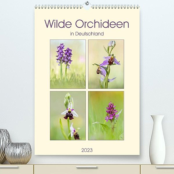 Wilde Orchideen in Deutschland 2023 (Premium, hochwertiger DIN A2 Wandkalender 2023, Kunstdruck in Hochglanz), Daniela Beyer (Moqui)