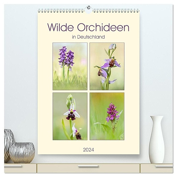 Wilde Orchideen in Deutschland 2024 (hochwertiger Premium Wandkalender 2024 DIN A2 hoch), Kunstdruck in Hochglanz, Daniela Beyer (Moqui)