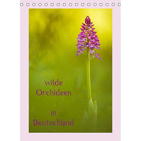 wilde Orchideen in Deutschland (Tischkalender 2022 DIN A5 hoch), Daniela Beyer (Moqui)