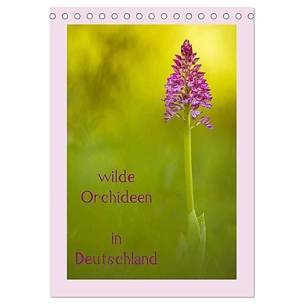 wilde Orchideen in Deutschland (Tischkalender 2024 DIN A5 hoch), CALVENDO Monatskalender, Daniela Beyer (Moqui)