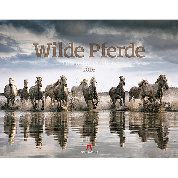 Wilde Pferde 2016