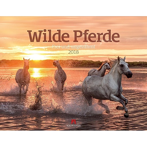 Wilde Pferde 2018