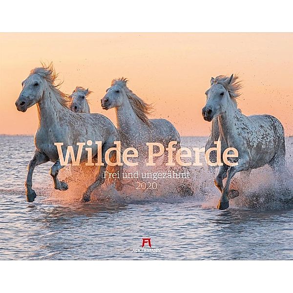 Wilde Pferde 2020