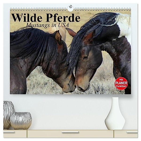 Wilde Pferde. Mustangs in USA (hochwertiger Premium Wandkalender 2024 DIN A2 quer), Kunstdruck in Hochglanz, Elisabeth Stanzer