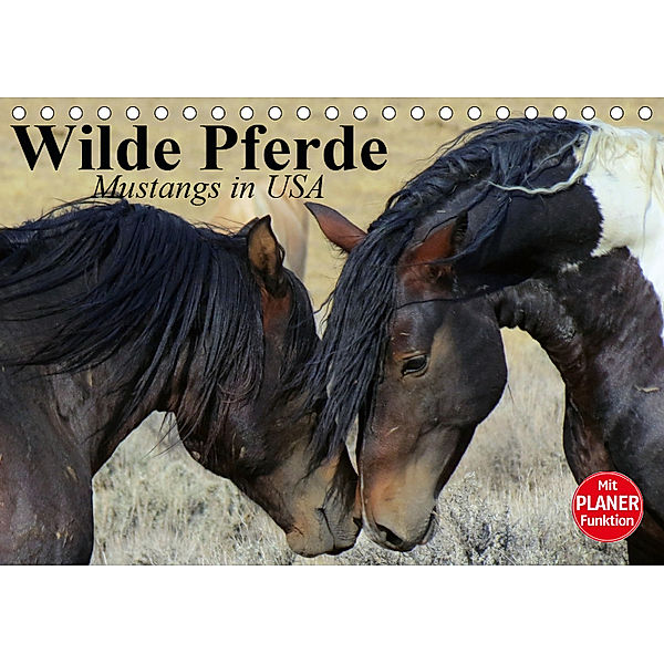 Wilde Pferde. Mustangs in USA (Tischkalender 2019 DIN A5 quer), Elisabeth Stanzer