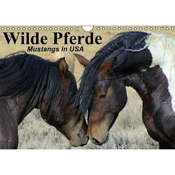 Wilde Pferde Mustangs in USA (Wandkalender 2015 DIN A4 quer), Elisabeth Stanzer