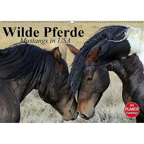 Wilde Pferde. Mustangs in USA (Wandkalender 2019 DIN A2 quer), Elisabeth Stanzer