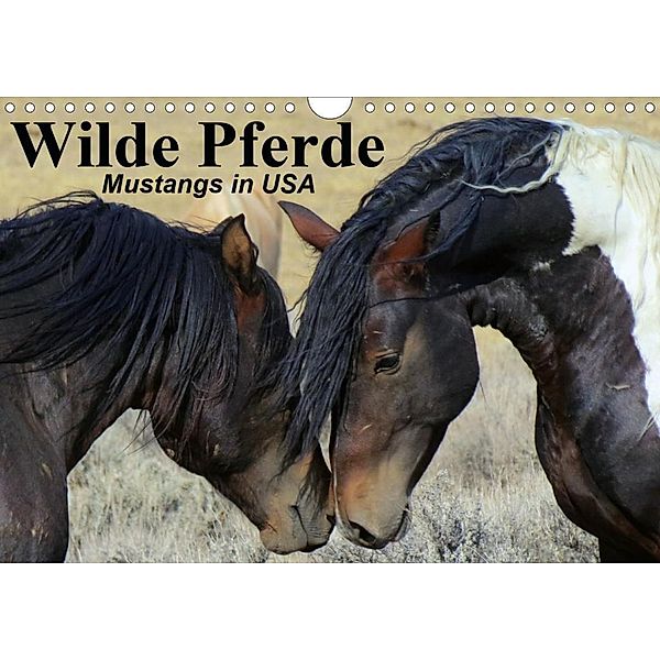 Wilde Pferde - Mustangs in USA (Wandkalender 2020 DIN A4 quer), Elisabeth Stanzer