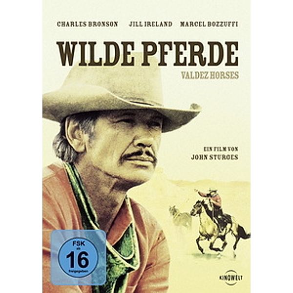 Wilde Pferde - Valdez Horses