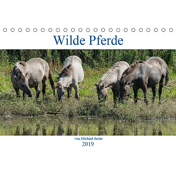 Wilde Pferde von Michael Jaster (Tischkalender 2019 DIN A5 quer), N N