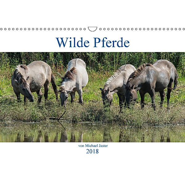 Wilde Pferde von Michael Jaster (Wandkalender 2018 DIN A3 quer), N N