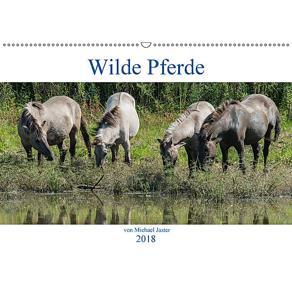 Wilde Pferde von Michael Jaster (Wandkalender 2018 DIN A2 quer), N N