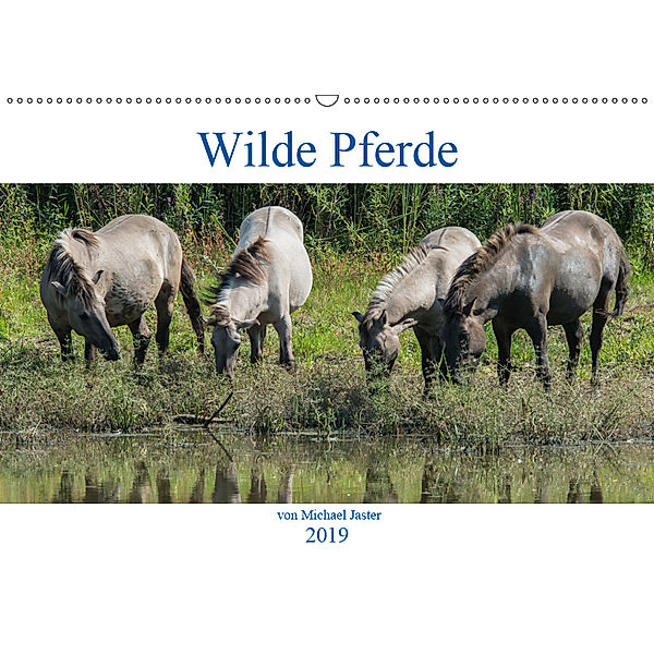 Wilde Pferde von Michael Jaster (Wandkalender 2019 DIN A2 quer), N N